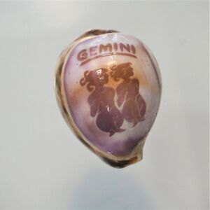 Vintage Cowrie Seashell Gemini Zodiac Sign